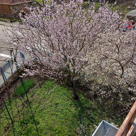 лятна генчеви град *